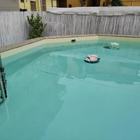 Antonella 3* Лидо-ди-Классе