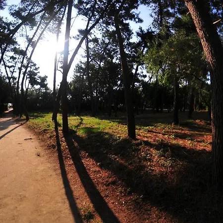 Antonella 3* Лидо-ди-Классе