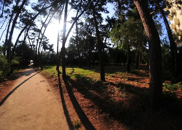 Antonella 3* 리도 디 클라세