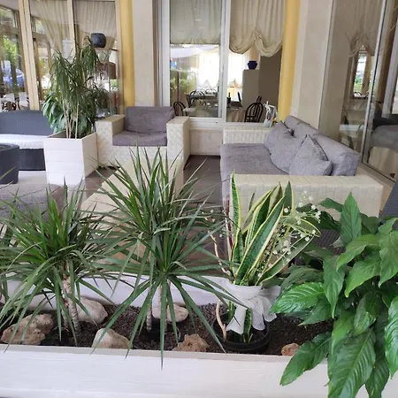 Antonella 3* Lido di Classe